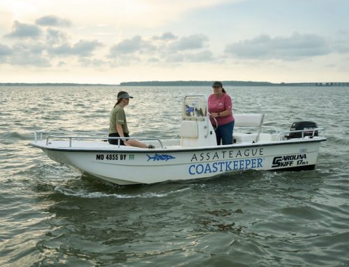 Project Ocean Assateague Island – By Land, Air and Sea